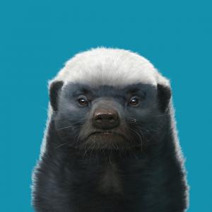 Megoeg