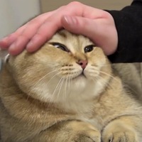 Кирилл Жильцынский