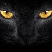 Василий Котов