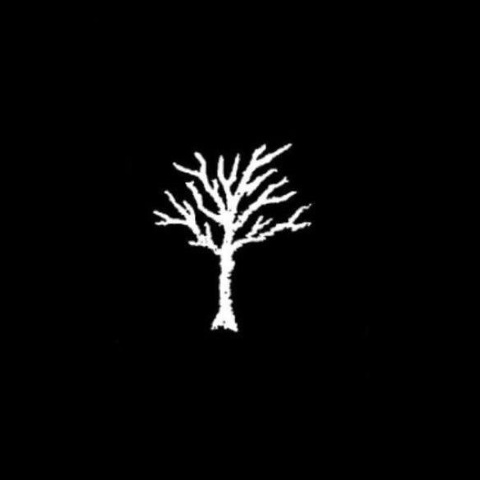 Мунир Каюмов(1)